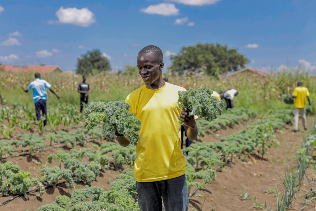 The hands behind food systems and livelihoods.