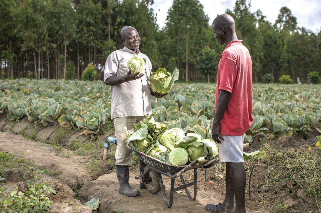 Making agricultural development visible through the people who experience it.