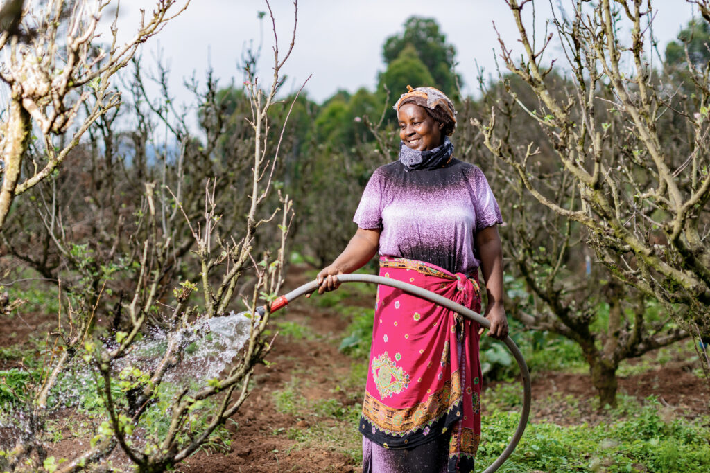 Turning field-level experiences into stories of development and impact.